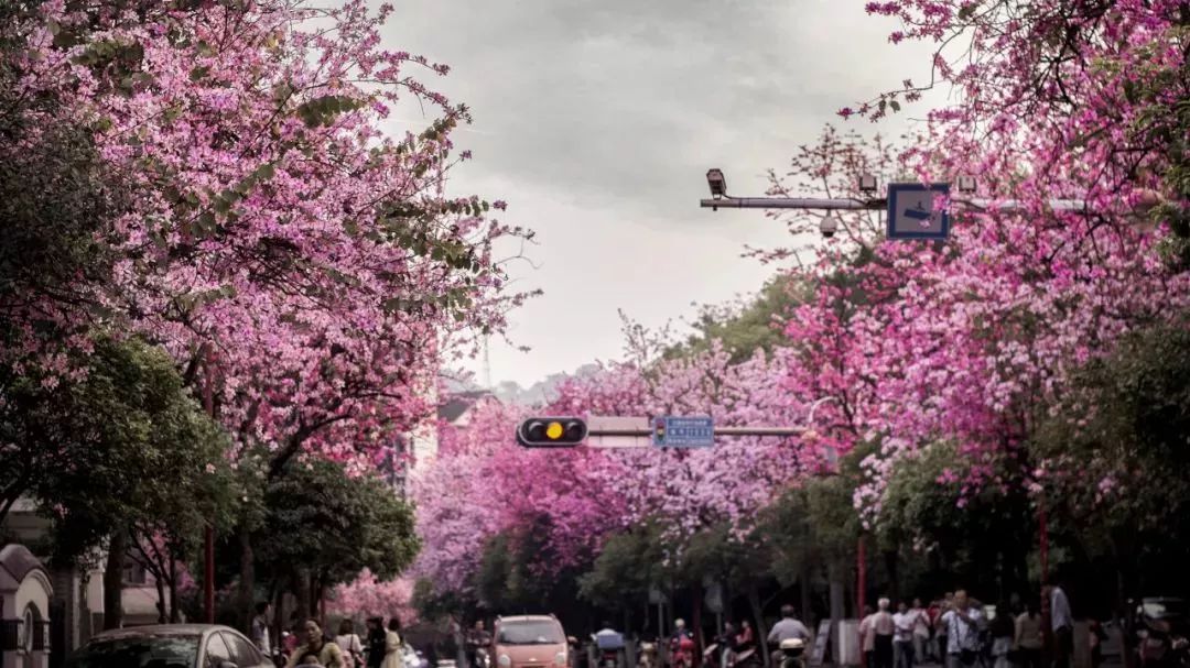 广西有座小城,广西这个宜居小城很低调