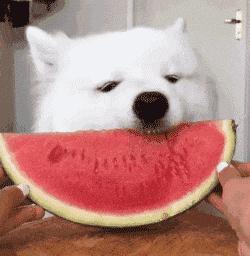 无锡最大商场刚开业就「下线了」？这个瓜我吃饱了...