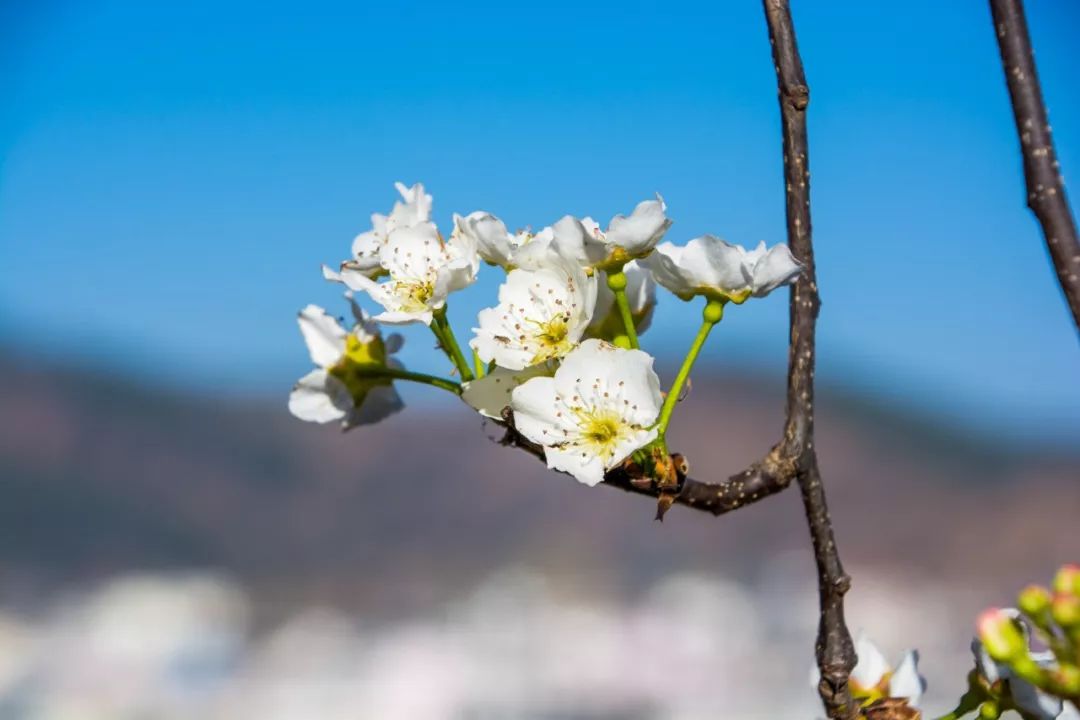 说秋道冬话永胜，气候多样人宜居