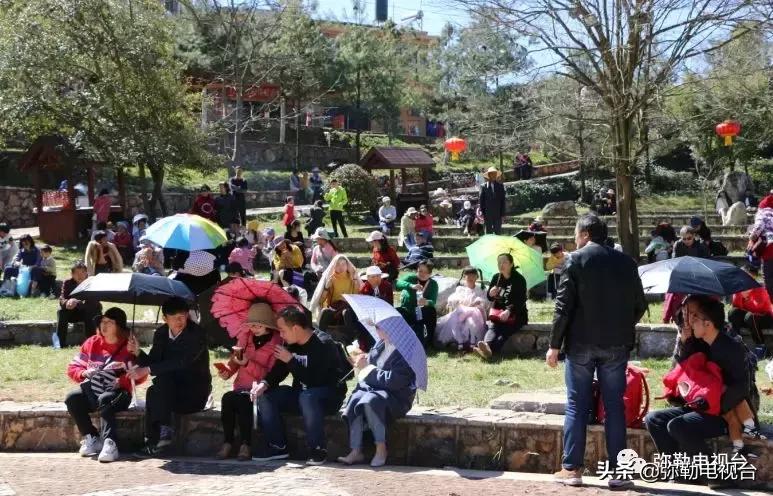 太热闹!弥勒花海、人海、车海、舞海...这些人上镜了!