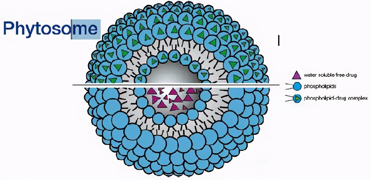 胶原蛋白葡萄籽和vc怎么吃,肌肤秘钥胶原蛋白葡萄籽