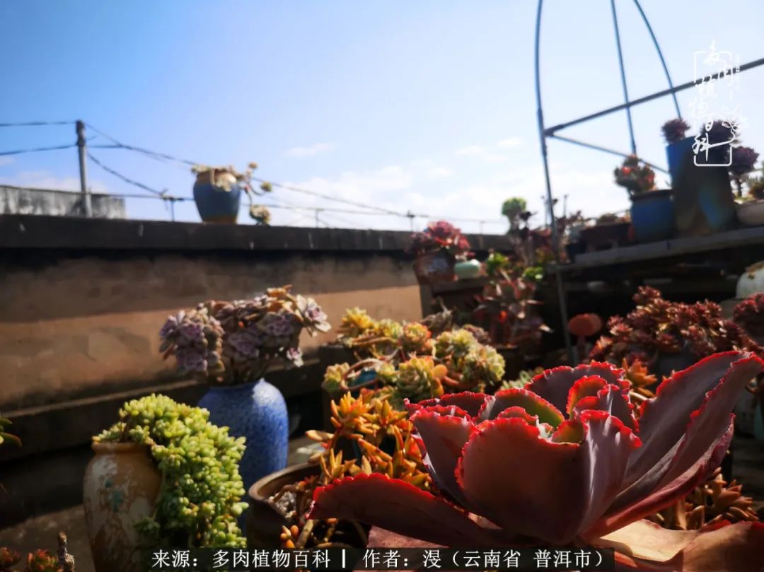 风过留痕讲的啥,风过留痕朗诵