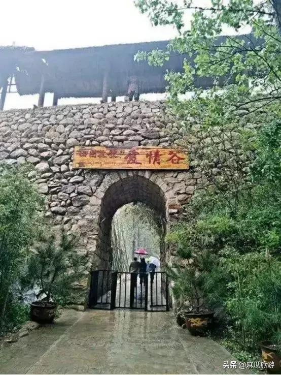 「县长带你去旅游」“古惑仔”引发首个“蛊惑灾”