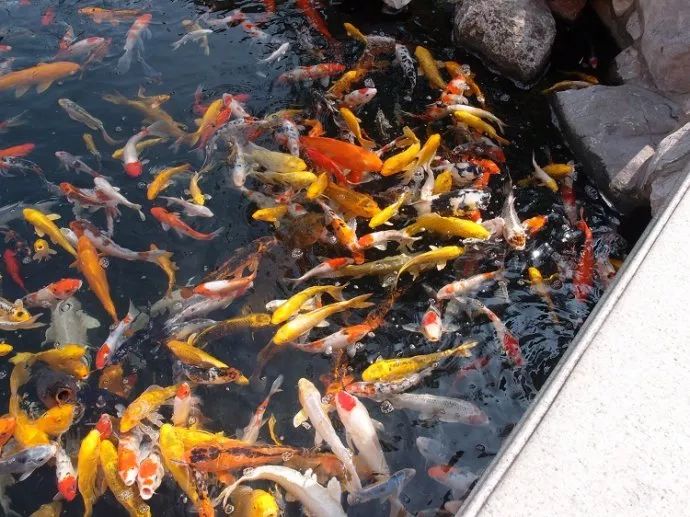 推荐上海地铁能乘到的游玩景点,上海地铁可直达的旅游景点