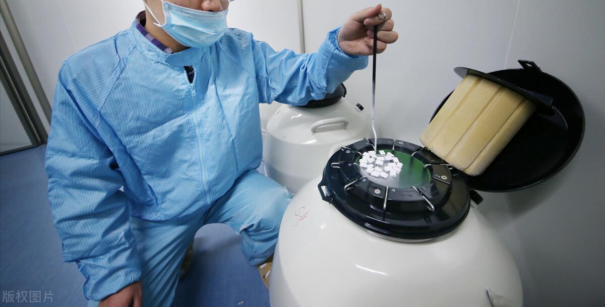 试管婴儿自然周期冻胚移植,试管婴儿冻胚移植自然周期流程