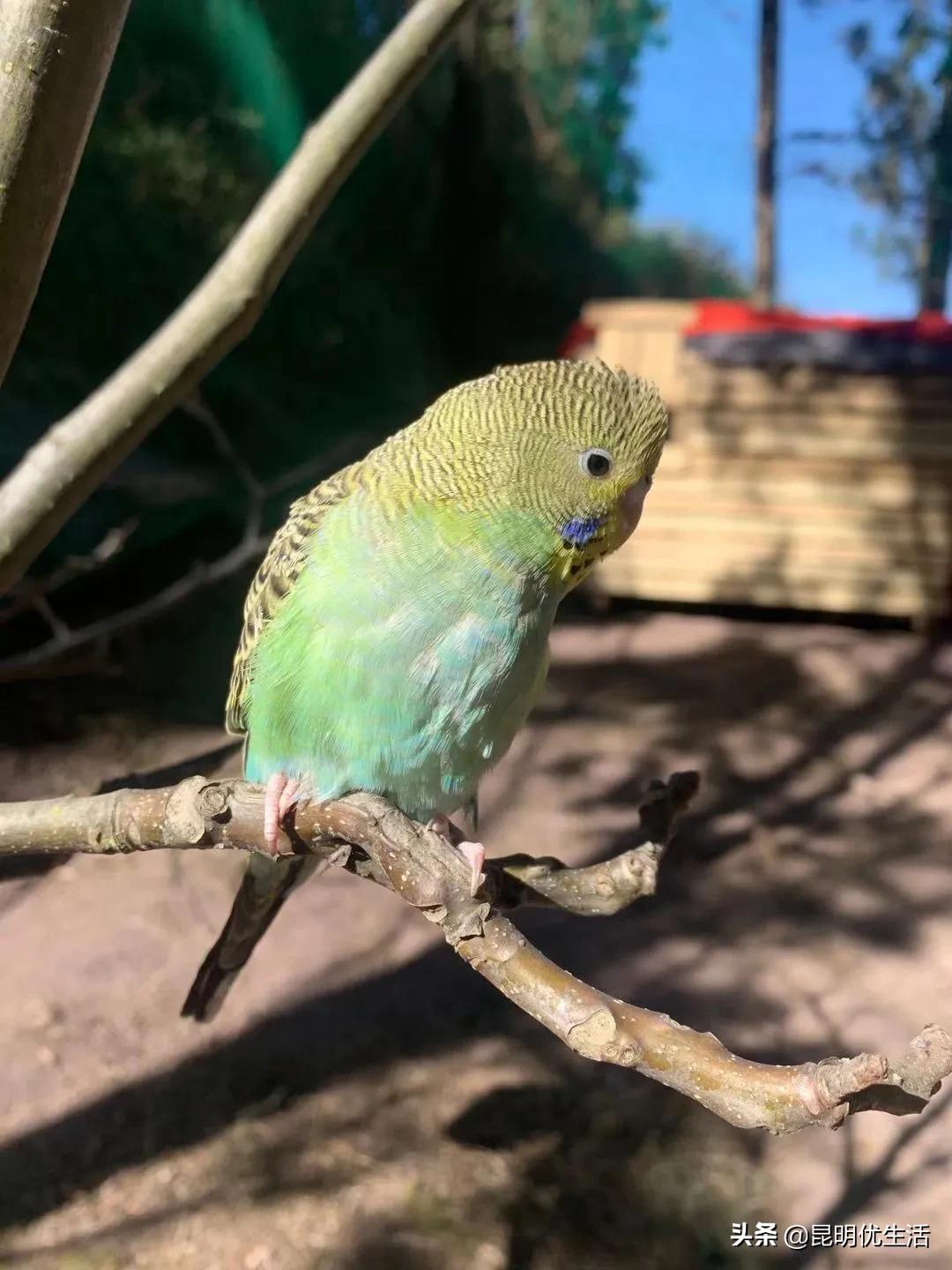 昆明周边亲子游乐场,昆明大型亲子乐园