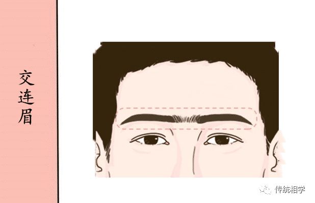 破财眉的特点,破财眉