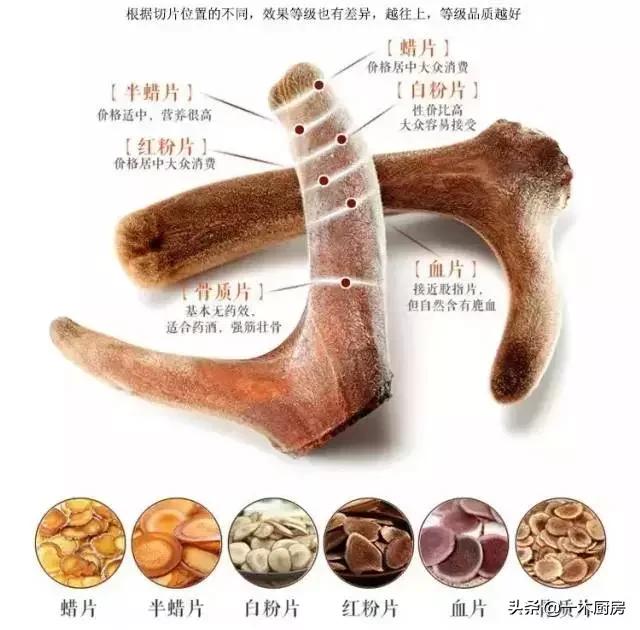 鹿茸片的等级区分图和功效,鹿茸片等级划分对照表