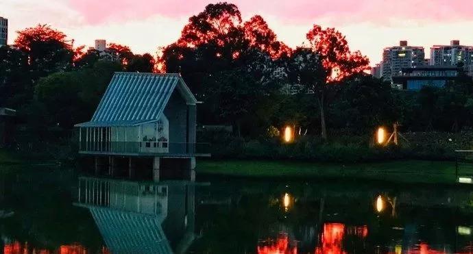 深圳最美最有人气的公园在哪里,深圳最好的十个景区