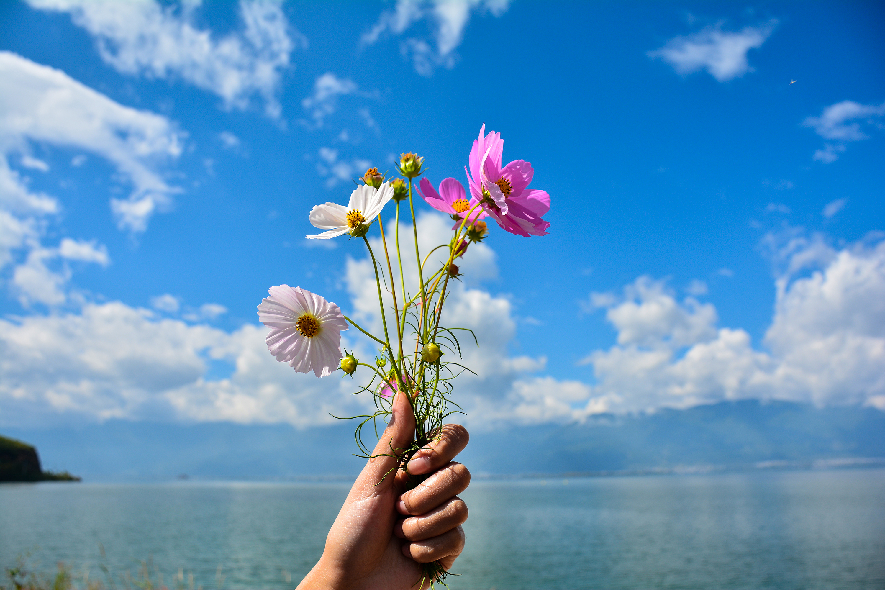 湛江去云南旅游怎么省钱,云南旅游自由行省钱攻略