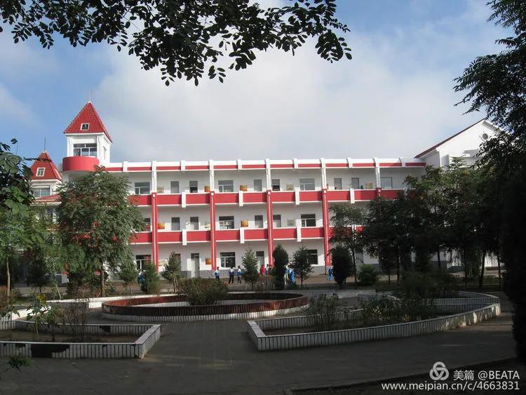 乌达市团结路小学2018年,乌海市乌达区团结路小学党建