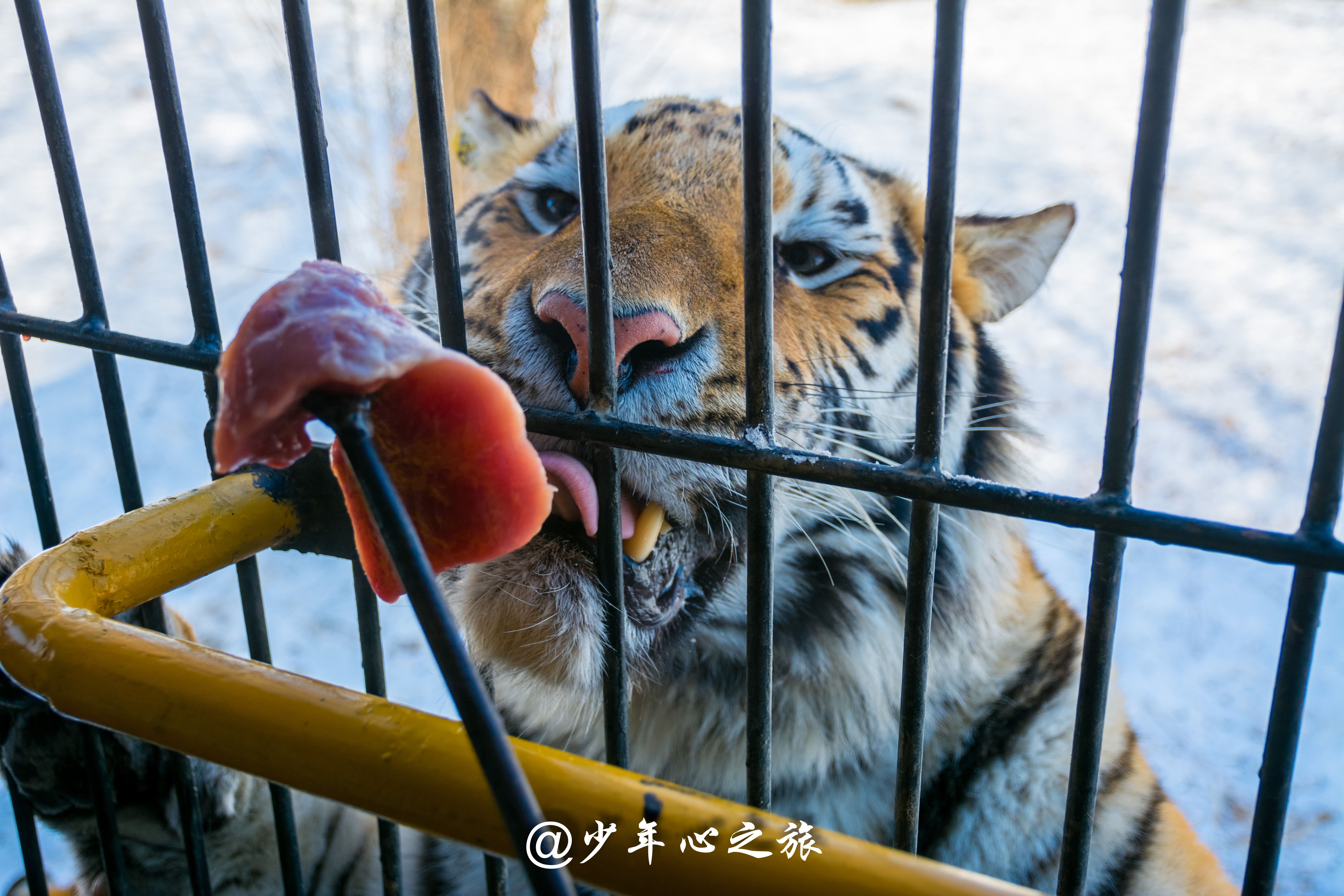 沈阳怪坡风景区门票多少钱,沈阳十大景点怪坡一日游攻略