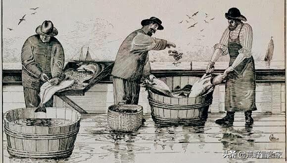 挪威北极鳕鱼属于大西洋鳕鱼吗,探秘挪威鳕鱼