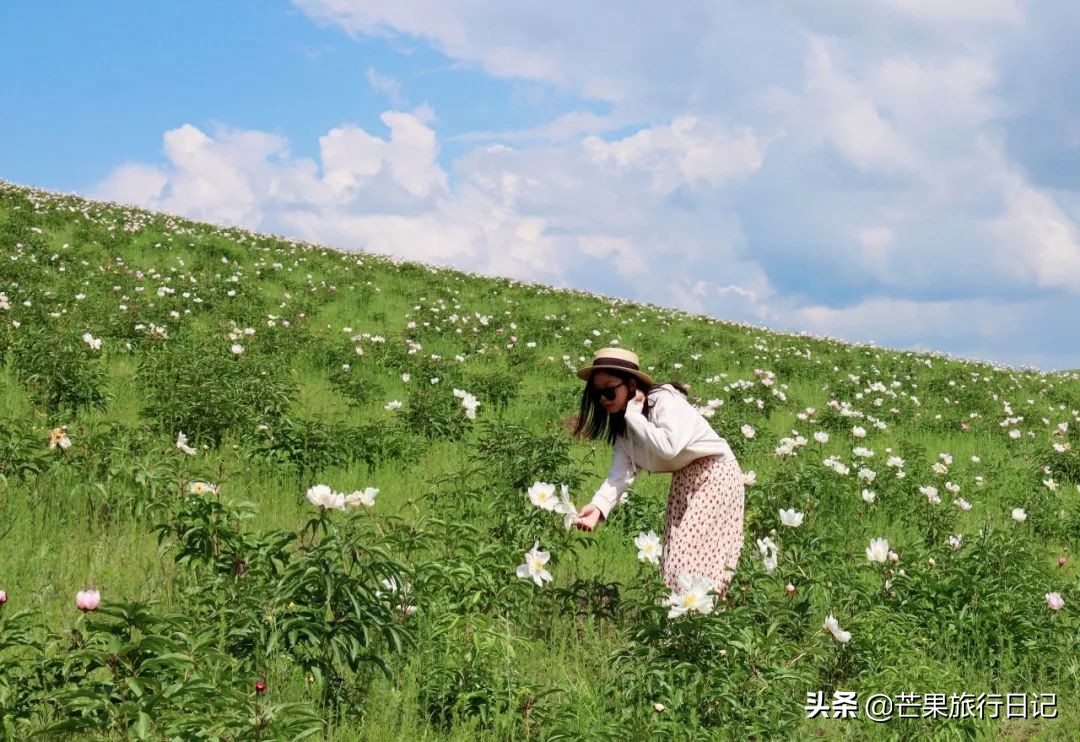 自由行呼伦贝尔七天费用,呼伦贝尔自由行费用