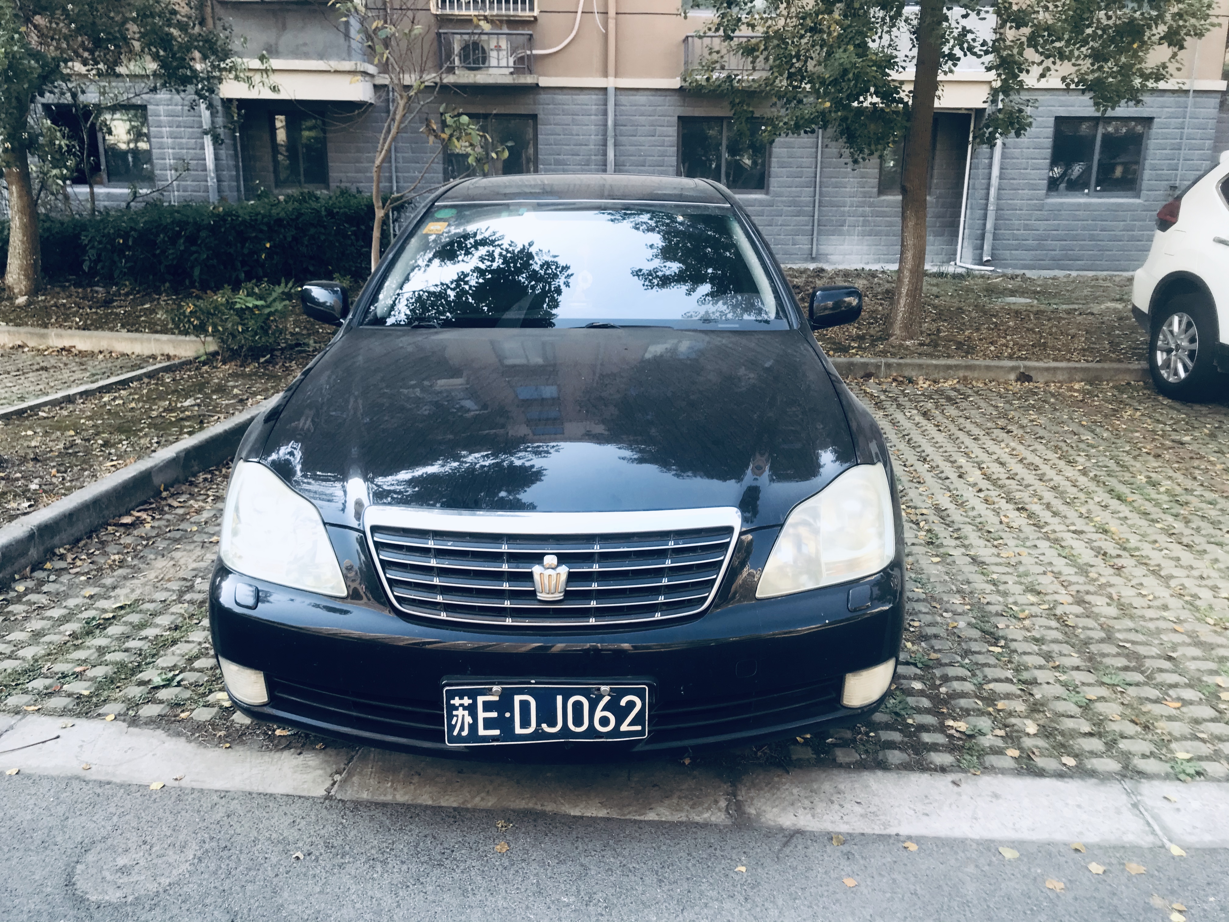 意外收获巨无霸,意外收获超级加倍名牌