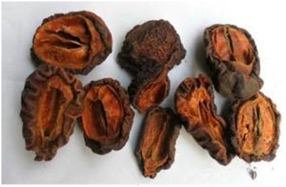 药用的木瓜是平常用的木瓜可以吗,药物木瓜和平常吃的木瓜有啥区别