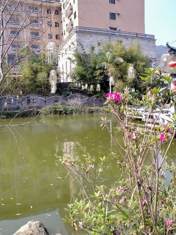 海丰莲花山度假村可以免费进吗,汕尾莲花山度假村游玩攻略