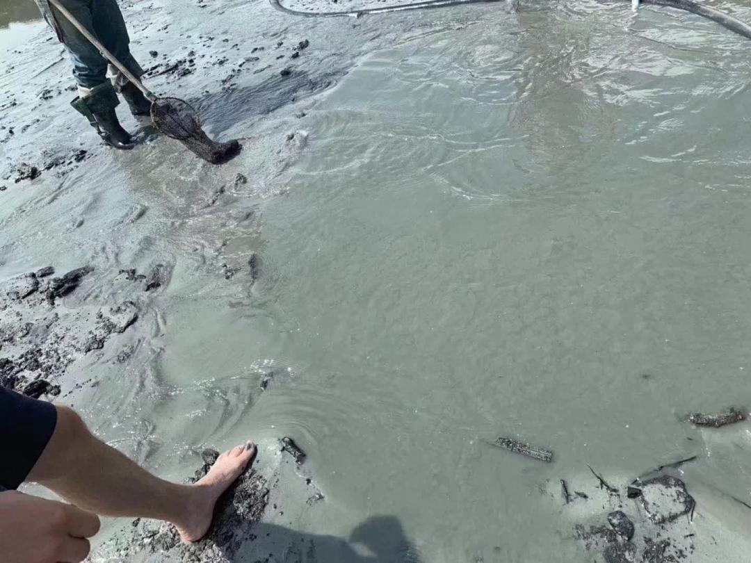 海滩捡蜜蜡,海边捡蜜蜡的利润