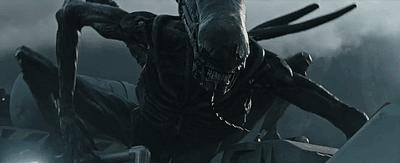 地球最强生物水熊坠落月球或幸存,地球最强的生物降临月球