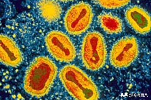 从迷信到科学解决疫情,天花灭绝对人类抗瘟疫的启示