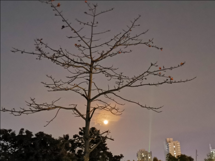 海上明月共潮生诗词,海上生明月诗词全文