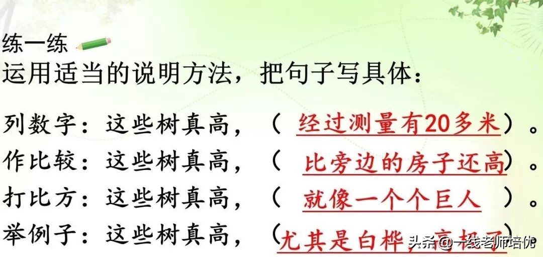 知识点+练习题部编版五年级语文上册16太阳