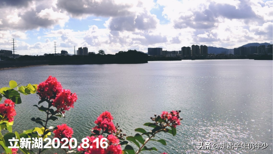 我眼中美丽的深圳,回忆深圳福永