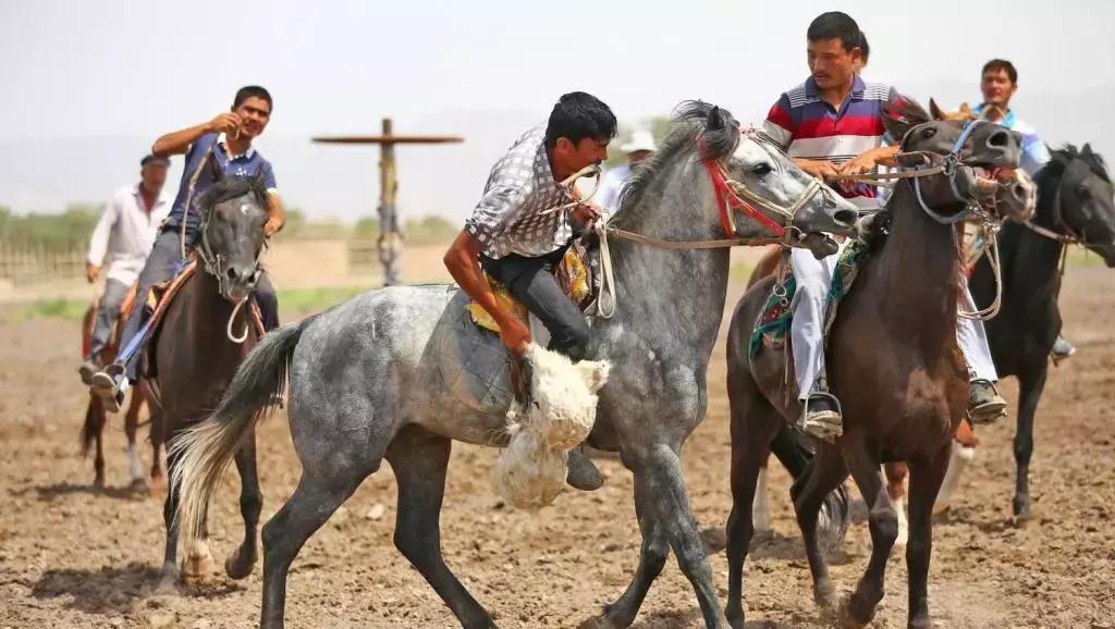 新疆拜城县最新消息今天,拜城最新真实消息