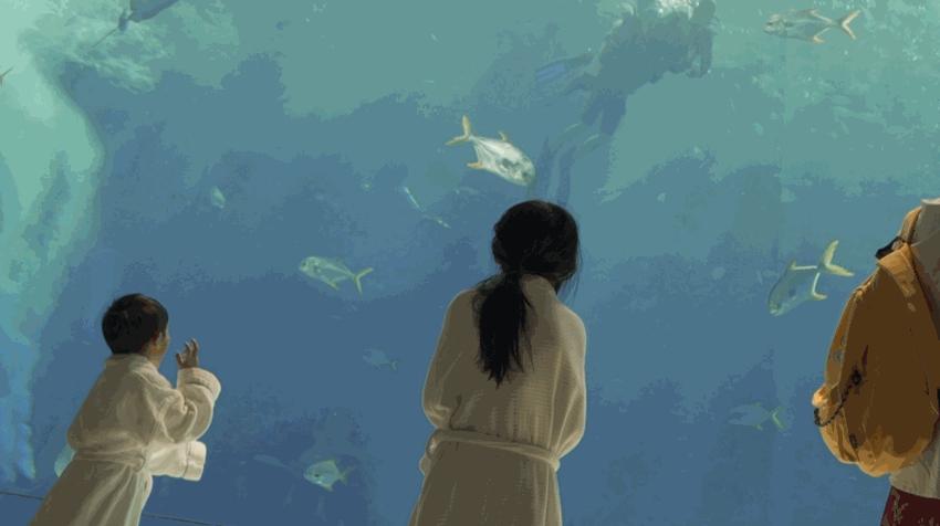 上九天揽月,下五洋捉鳖。看二孩老父亲如何带全家打卡亚特兰蒂斯