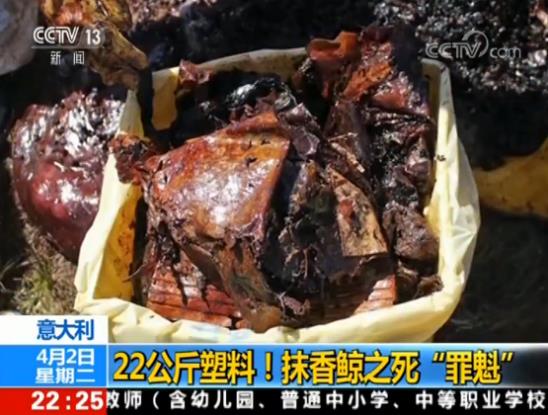 【8点见】23具英雄遗体完成DNA检测木里森林火灾明火已扑灭