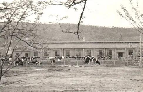 浓浓奶香,中华老字号卫岗