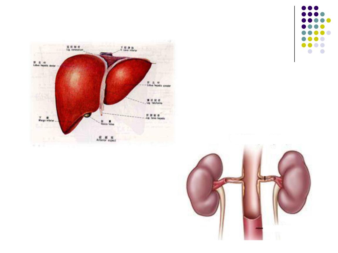 重叠综合征,发病原因不明,和免疫功能异常,以及环境因素有关