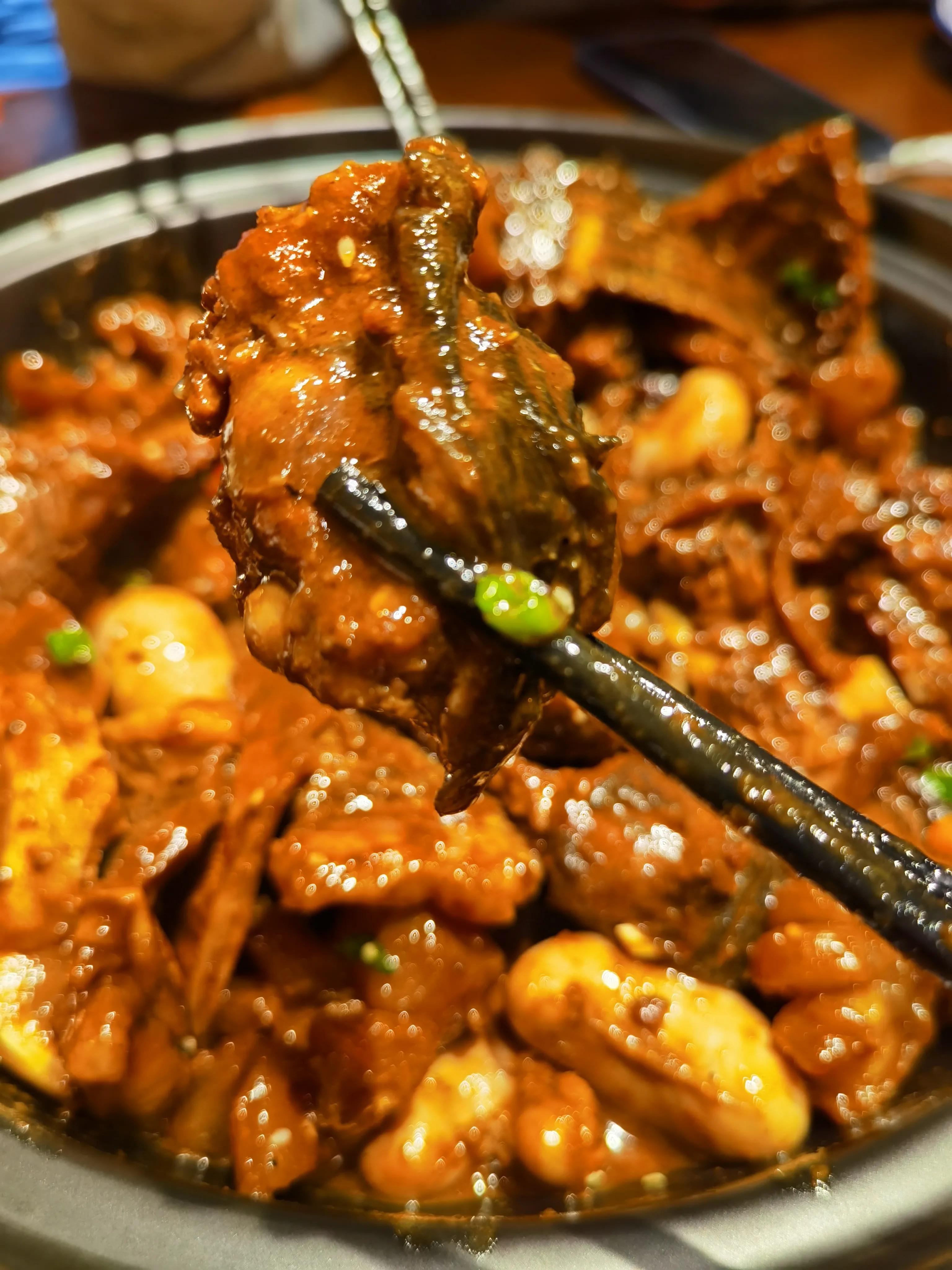 春夜2男2女在郑州金元甲甲鱼馆,吃老鳖焖牛鞭,才花500多文