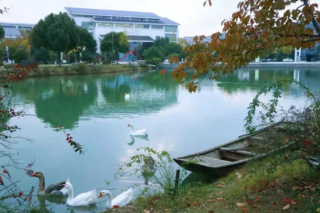 苏州工艺美院,苏州工艺美院代码