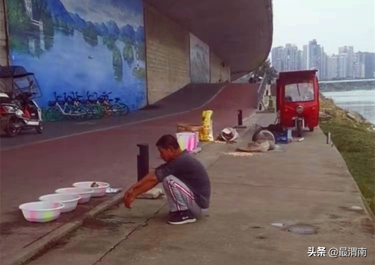 女子放生鳄雀鳝视频,女子放生乌龟接下来的一幕