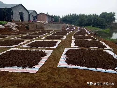 现在农村最快致富是什么行业,农民致富的手工行业