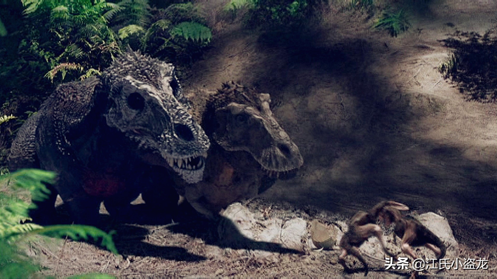 霸王龙的一生,霸王龙最关键的两个阶段