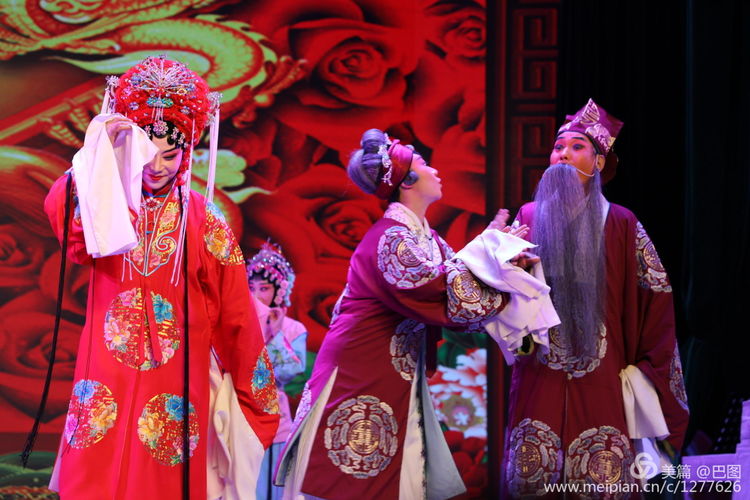 曲剧花为媒经典唱段全场,曲剧花为媒报花名完整唱段