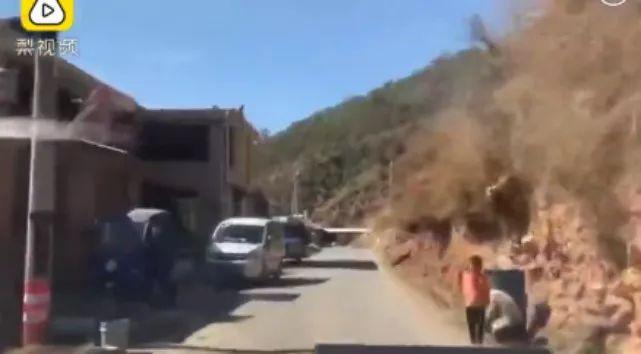 大年二十九两名“老虎”被开除*党**籍「三分钟法治新闻全知道」