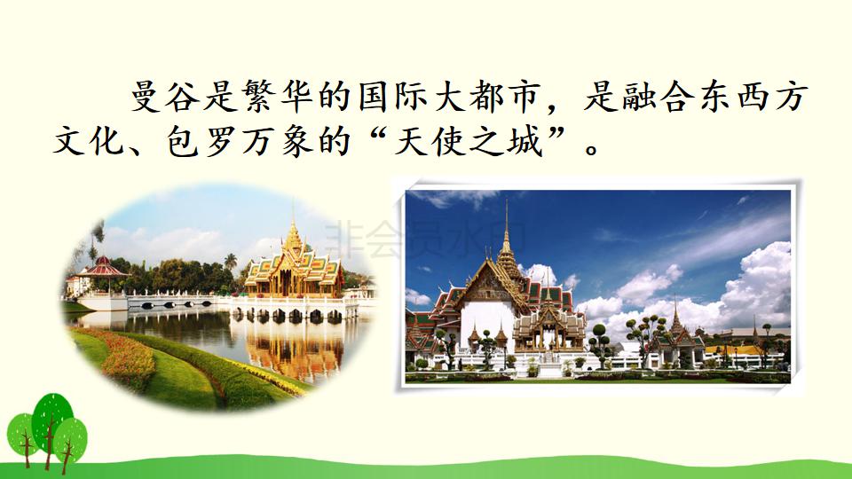 五年级下册与象共舞的作者是谁,与象共舞语文五年级下册老版