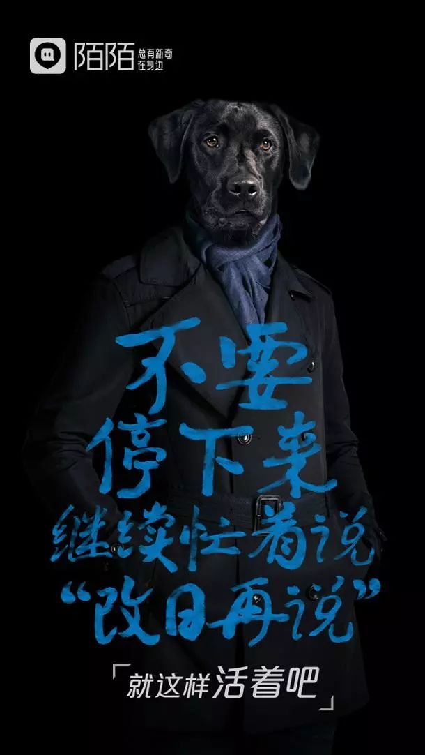 陌陌距离怎么由近变远,陌陌首页怎么变了