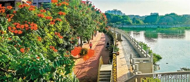 春满鮀城：“云”端繁花也醉人