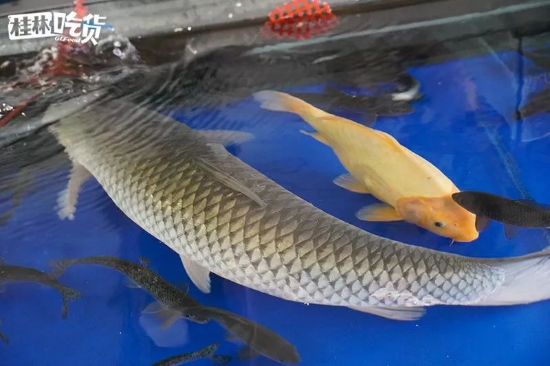 桂林市春节年货一条街,桂林有哪些年货市场