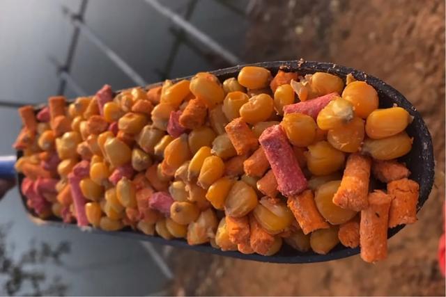 高手分享钓大鱼的5个必备技巧,水越浅钓的越远吗