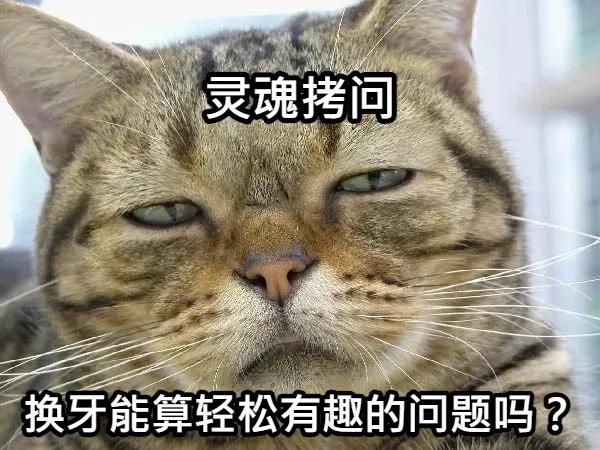 姚晨孩子片段,姚晨晒孩子视频全集