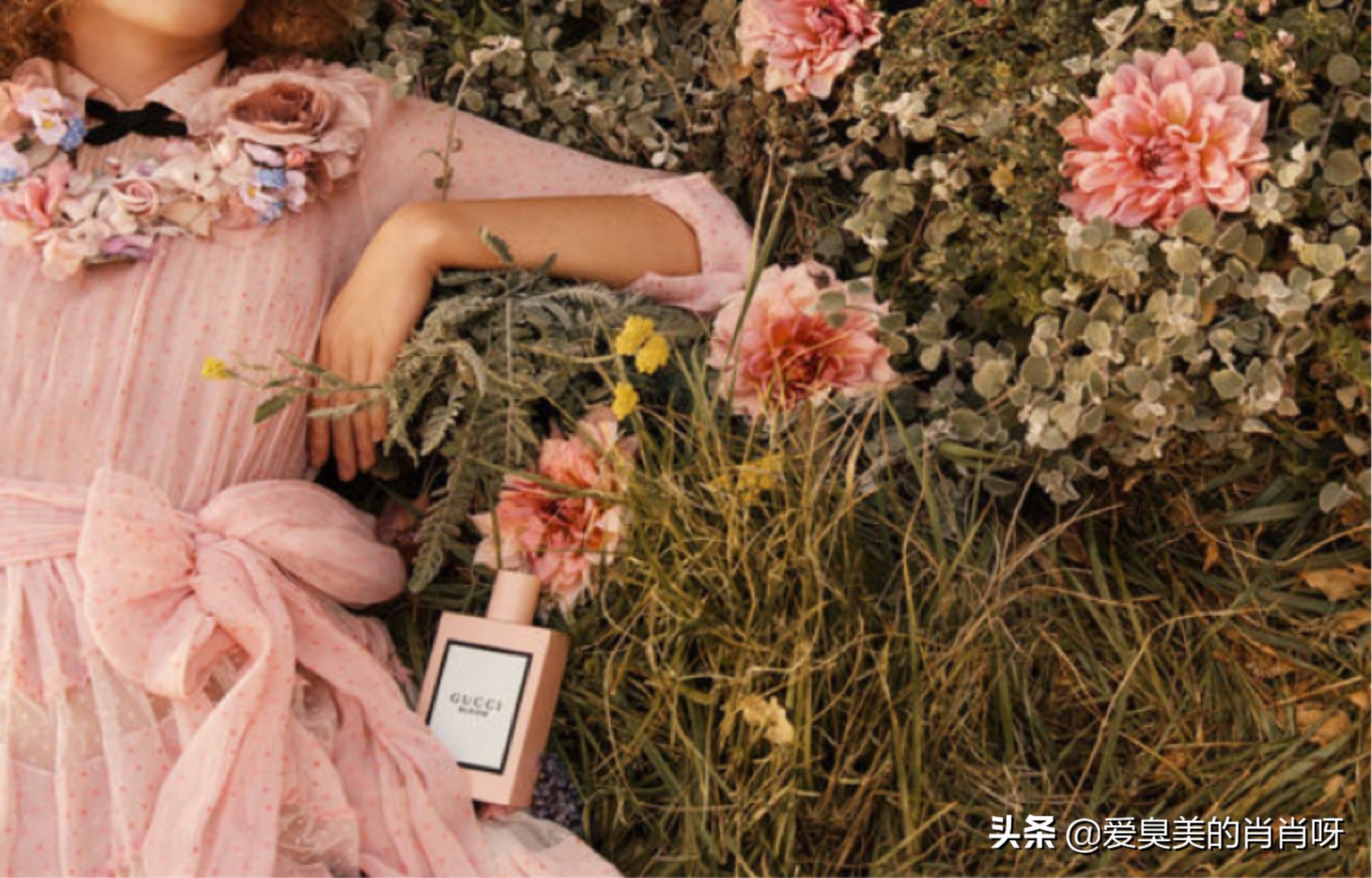 闻香识人爱用的香水,闻香识女人里提到的香水