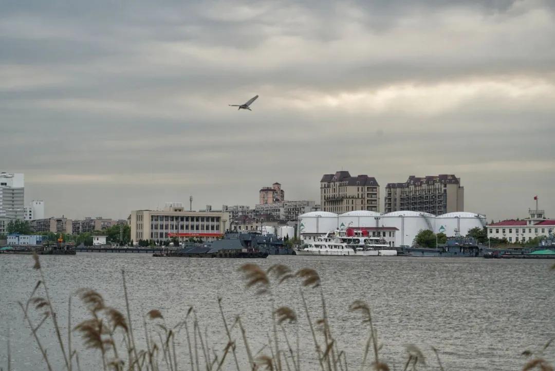 浦东世博滨江公园,浦东24小时不打烊