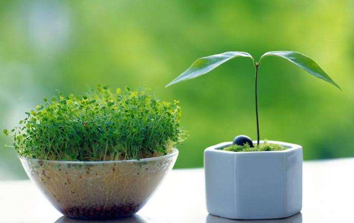 开空调房间太干燥加湿器有用吗,空调制热干燥需不需要买加湿器