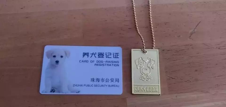 办宠物证在哪里可以办,狗狗走失了可以到警局查监控吗