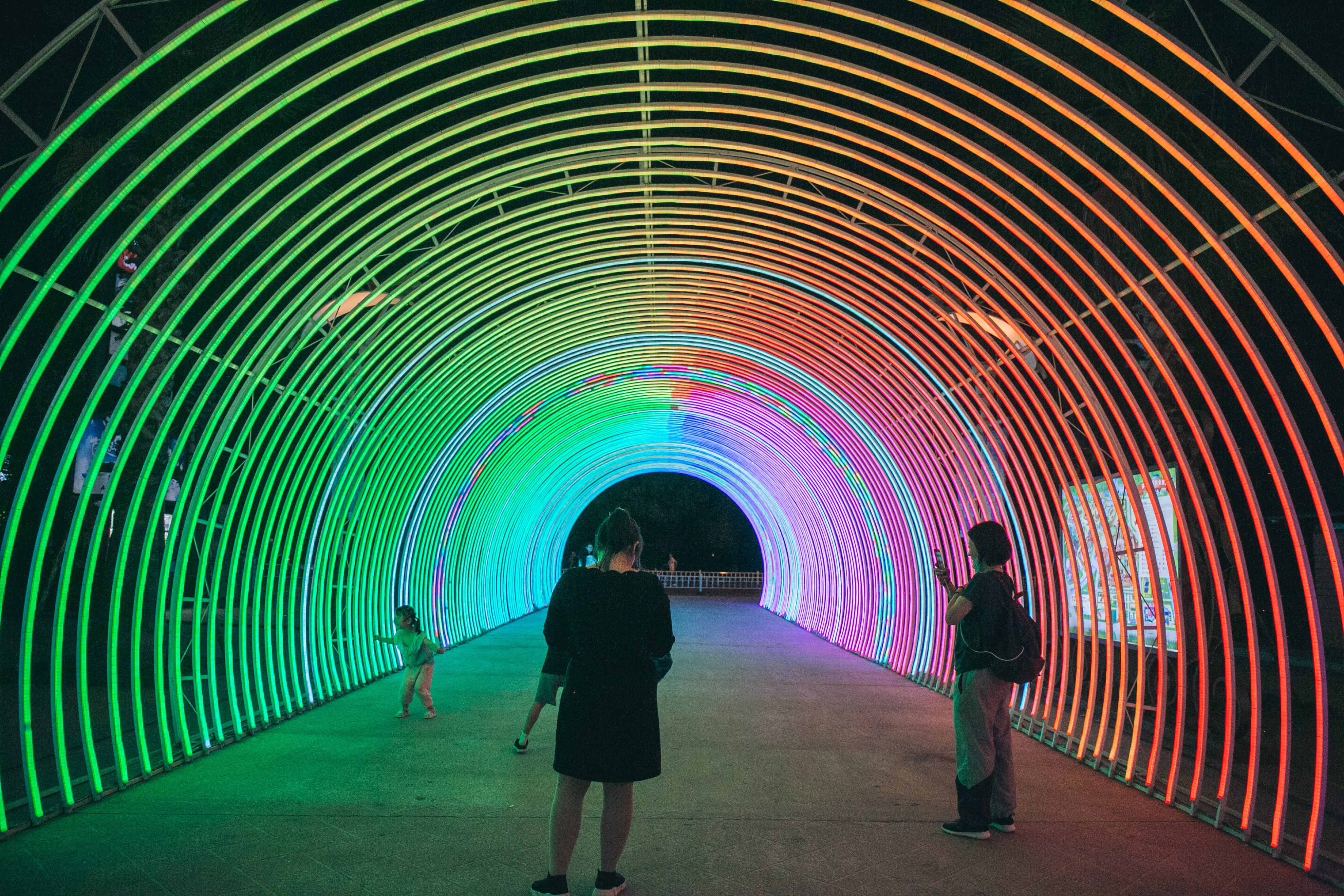 常州最豪华的酒店,常州恐龙园树屋酒店